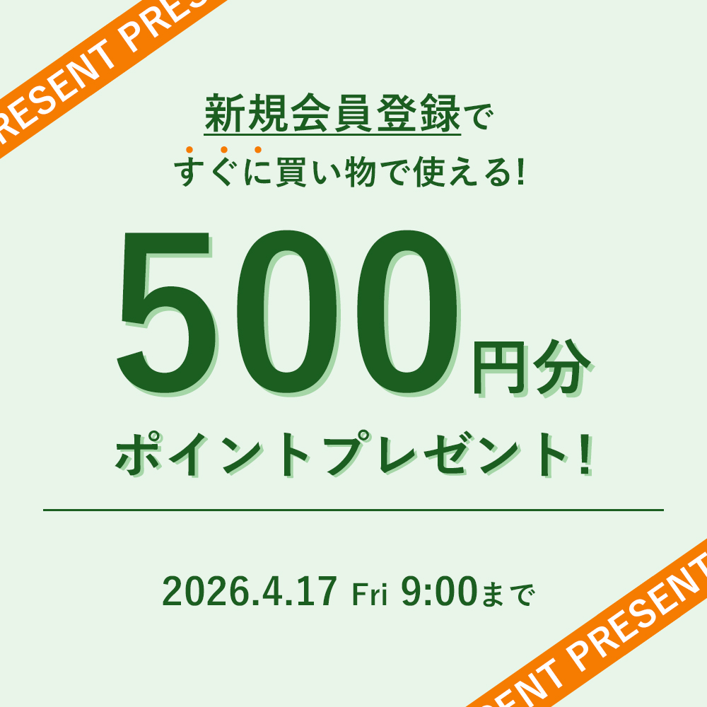 新規会員登録で500ptプレゼント