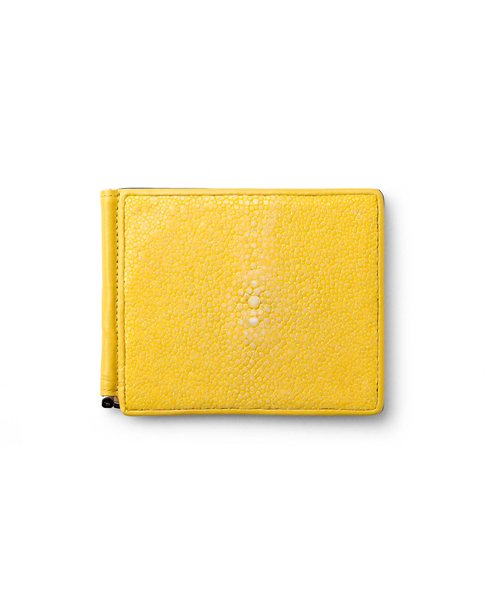 イズイット ガルーシャ 札ばさみ カード段6