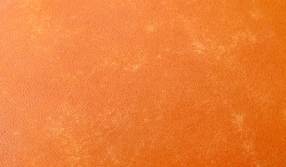 イズイット トスカーナ L字ファスナー 二つ折り財布 カード段5