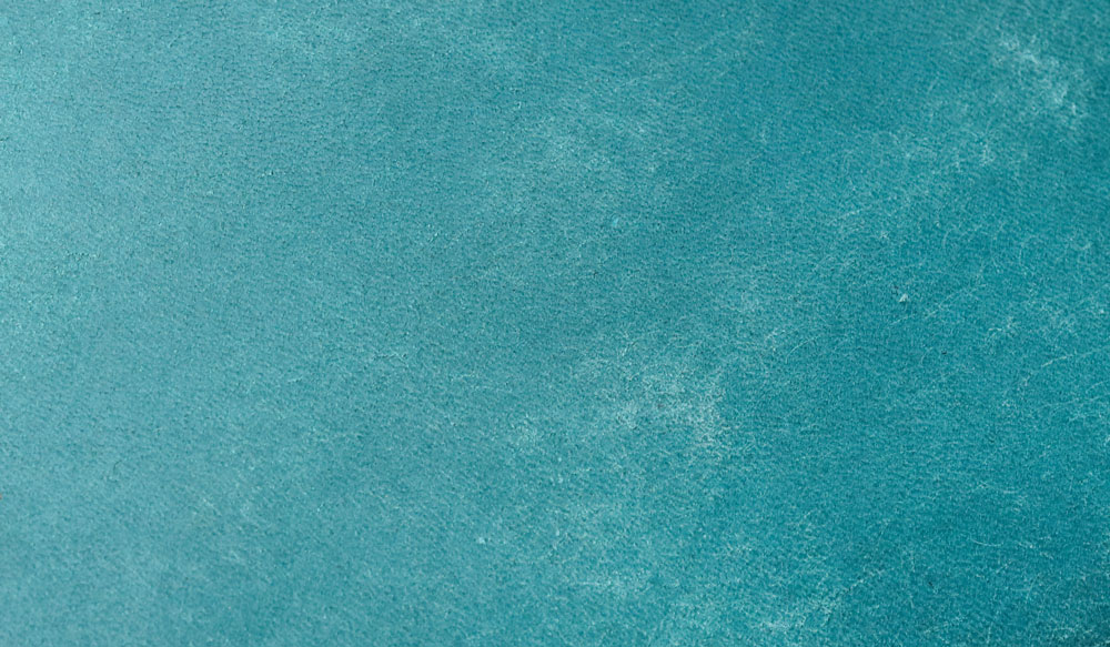 イズイット トスカーナ 二つ折り財布 マグネット式小銭入れ カード段8