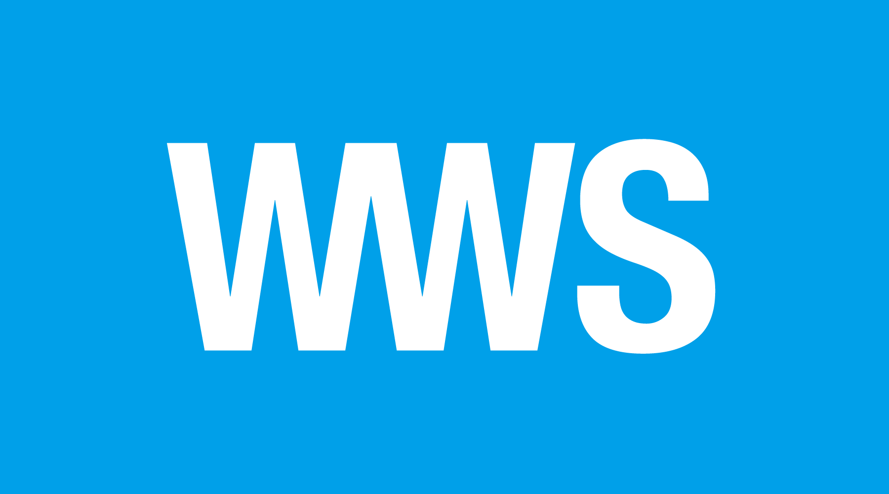 イズイット WWS ビジネスリュック A4 13.3インチ