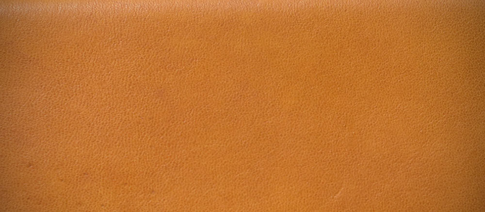 タケオキクチ クロード 名刺入れ