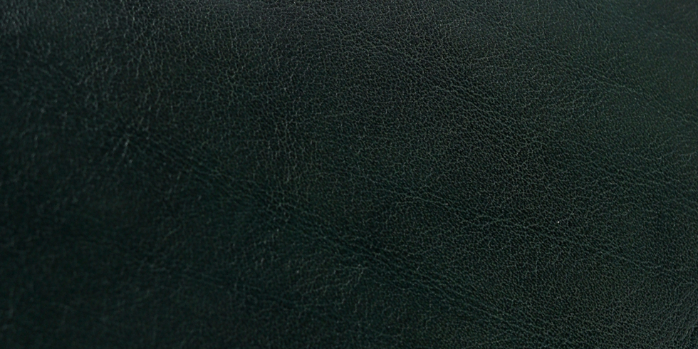 タケオキクチ イデア　セミ長財布